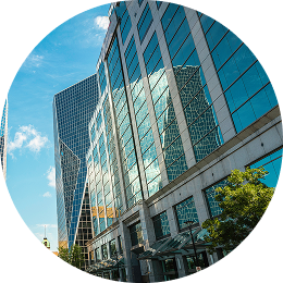 Our impact businesses
